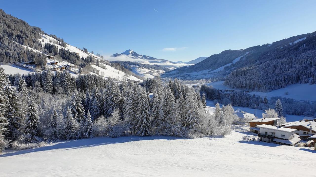 Ferienwohnung Zauberwinkelweg Mit Traum-Aussicht! Wildschoenau Luaran gambar